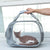 Sac de transport transparent pour animaux - modèle Grey / 40x30x30cm - TransparenceSac.com