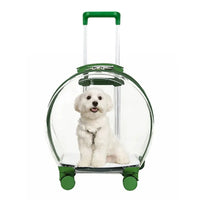 Transporteur Transparent pour Animaux de Compagnie - TransparenceSac.com