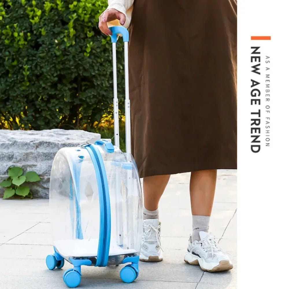 Transporteur Transparent pour Animaux de Compagnie