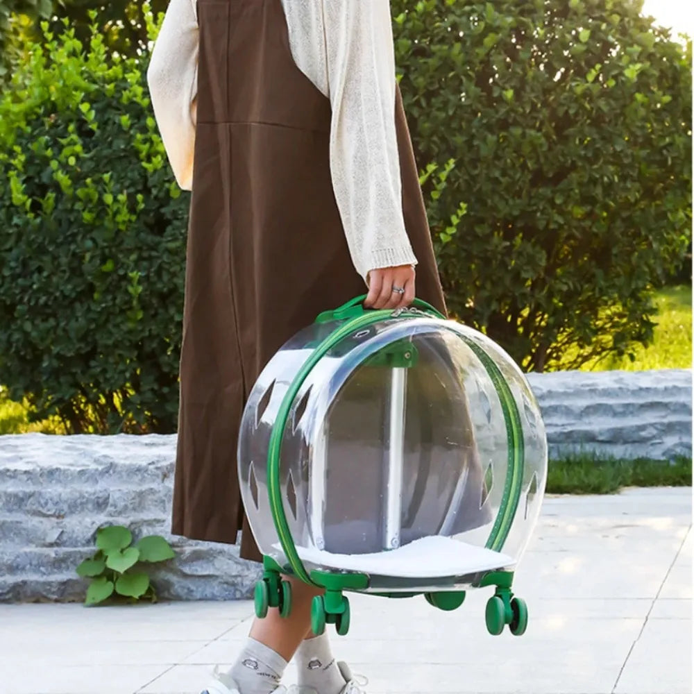 Transporteur Transparent pour Animaux de Compagnie
