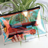 Pochette transparente tendance multicolore fashion